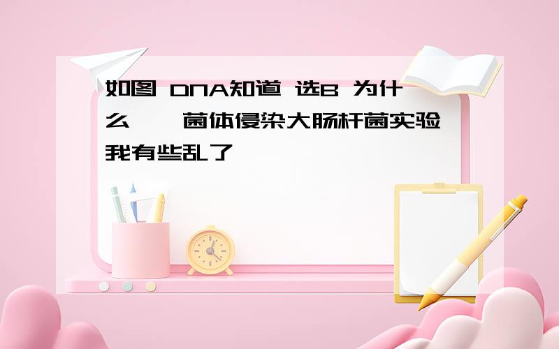 如图 DNA知道 选B 为什么,噬菌体侵染大肠杆菌实验,我有些乱了