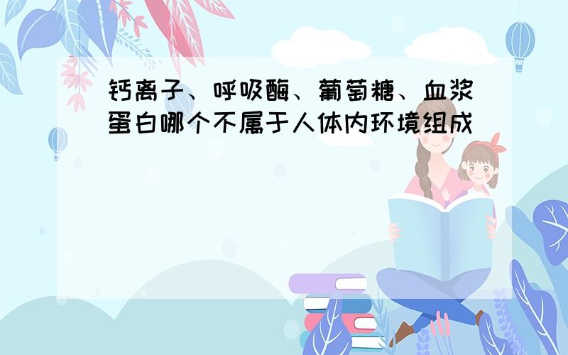 钙离子、呼吸酶、葡萄糖、血浆蛋白哪个不属于人体内环境组成