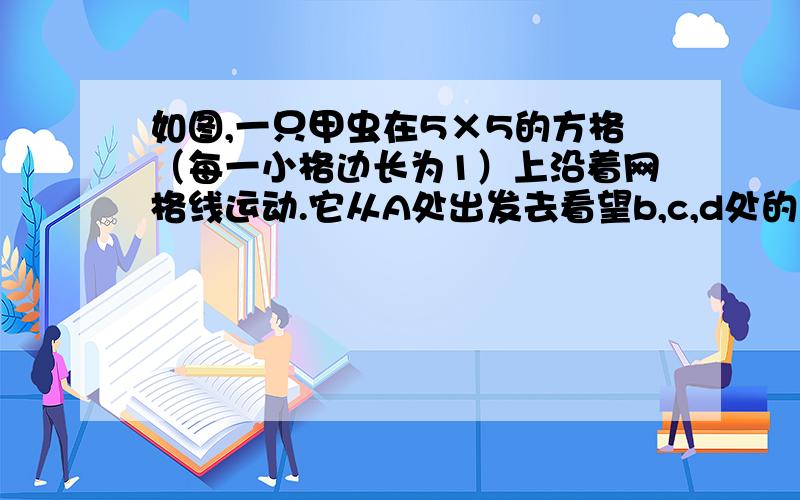 如图,一只甲虫在5×5的方格（每一小格边长为1）上沿着网格线运动.它从A处出发去看望b,c,d处的其他甲虫,规定:向上向