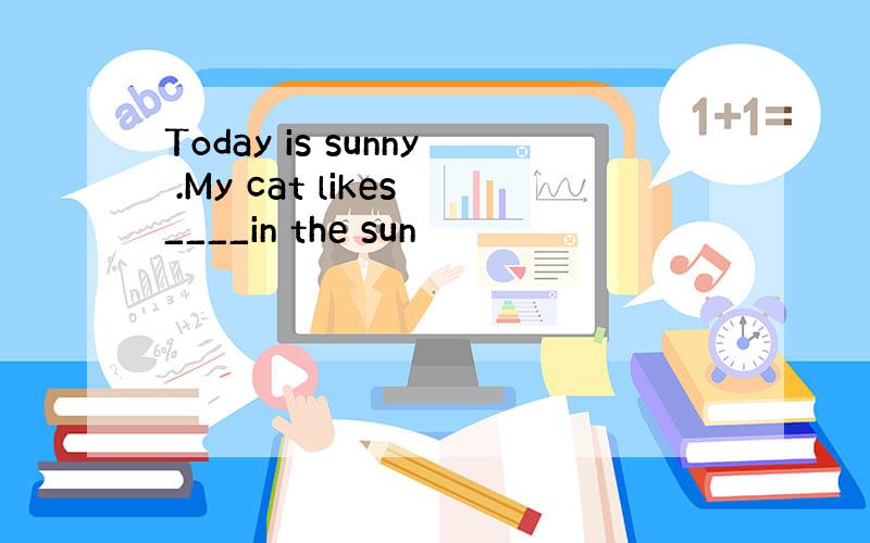 Today is sunny .My cat likes____in the sun