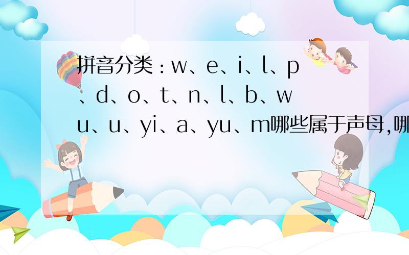 拼音分类：w、e、i、l、p、d、o、t、n、l、b、wu、u、yi、a、yu、m哪些属于声母,哪些属于韵母,音节?