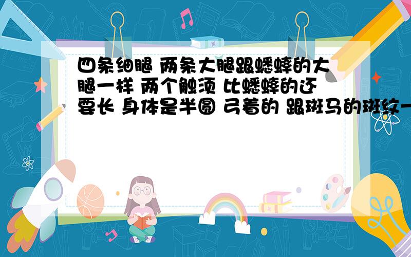 四条细腿 两条大腿跟蟋蟀的大腿一样 两个触须 比蟋蟀的还要长 身体是半圆 弓着的 跟斑马的斑纹一样 带两个尾尖 还回蹦达