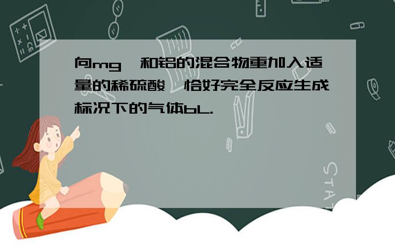 向mg镁和铝的混合物重加入适量的稀硫酸,恰好完全反应生成标况下的气体bL.