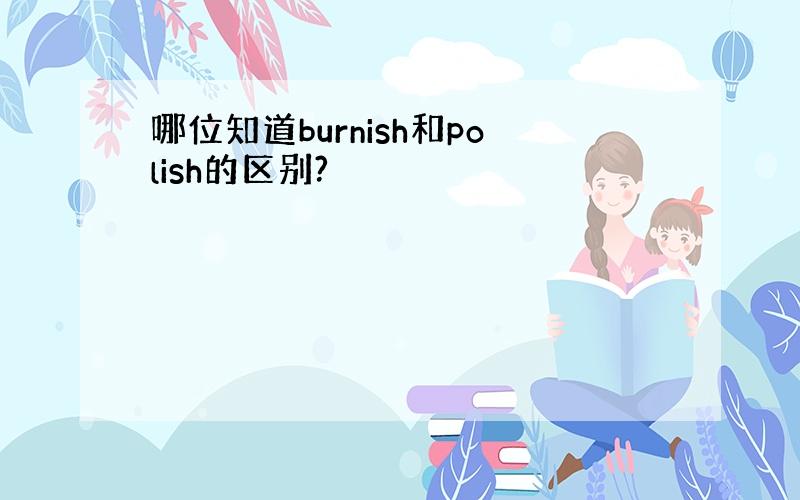 哪位知道burnish和polish的区别?