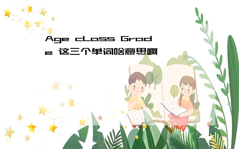 Age cLass Grade 这三个单词啥意思啊