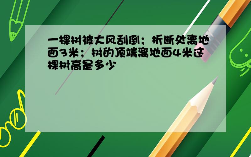 一棵树被大风刮倒；折断处离地面3米；树的顶端离地面4米这棵树高是多少