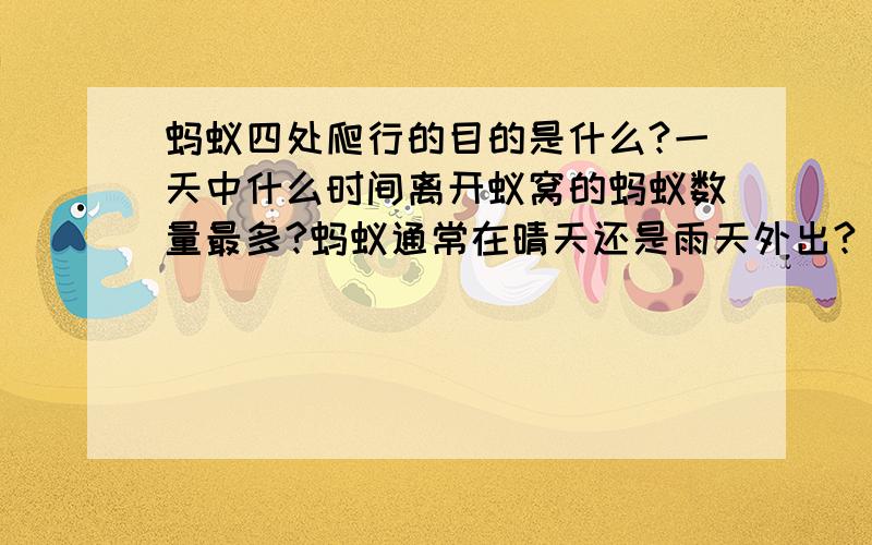 蚂蚁四处爬行的目的是什么?一天中什么时间离开蚁窝的蚂蚁数量最多?蚂蚁通常在晴天还是雨天外出?