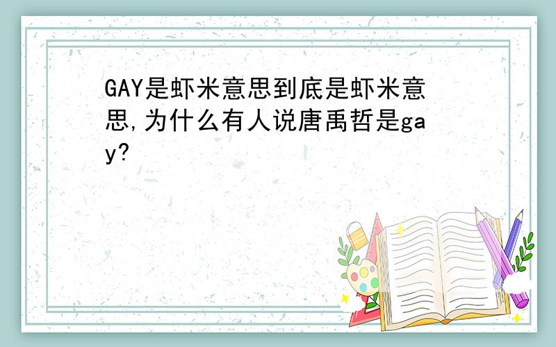 GAY是虾米意思到底是虾米意思,为什么有人说唐禹哲是gay?