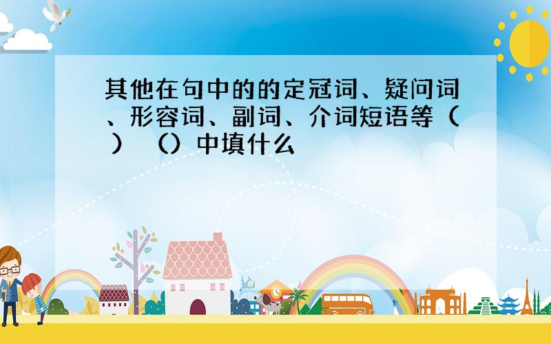 其他在句中的的定冠词、疑问词、形容词、副词、介词短语等（ ） （）中填什么