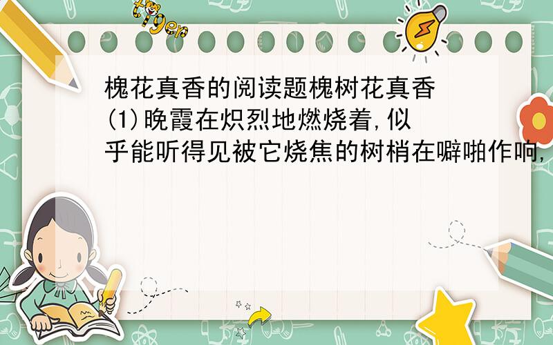 槐花真香的阅读题槐树花真香 (1)晚霞在炽烈地燃烧着,似乎能听得见被它烧焦的树梢在噼啪作响,小山村显得更加恬静了.村头上