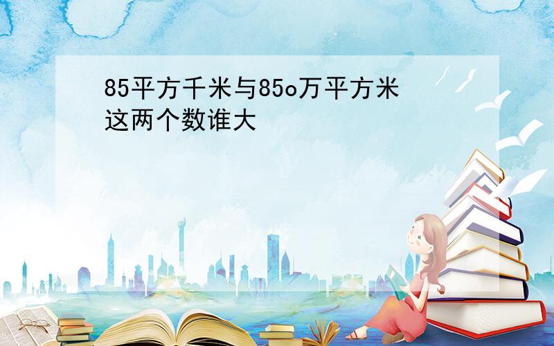 85平方千米与85o万平方米这两个数谁大