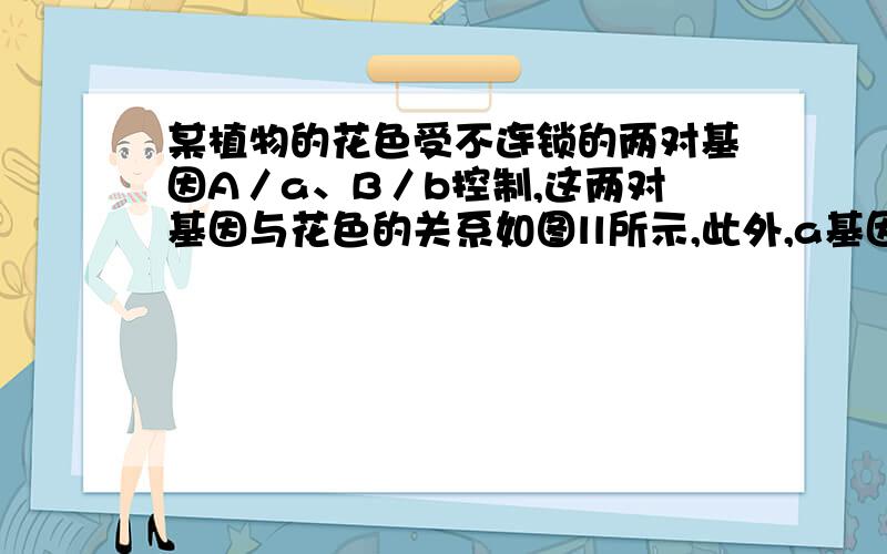 某植物的花色受不连锁的两对基因A／a、B／b控制,这两对基因与花色的关系如图ll所示,此外,a基因对于B基因的表达有抑制