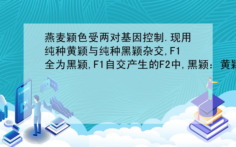 燕麦颖色受两对基因控制.现用纯种黄颖与纯种黑颖杂交,F1全为黑颖,F1自交产生的F2中,黑颖：黄颖：白颖=12：3：1.