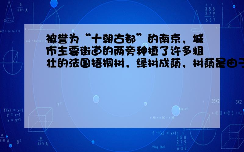 被誉为“十朝古都”的南京，城市主要街道的两旁种植了许多粗壮的法国梧桐树，绿树成荫，树荫是由于光的______形成的．同时