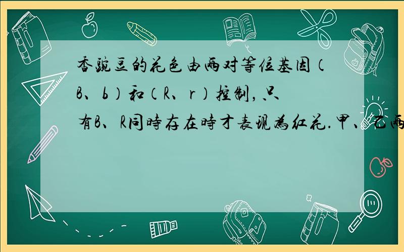 香豌豆的花色由两对等位基因（B、b）和（R、r）控制，只有B、R同时存在时才表现为红花.甲、乙两株开白花的品种杂交，F1