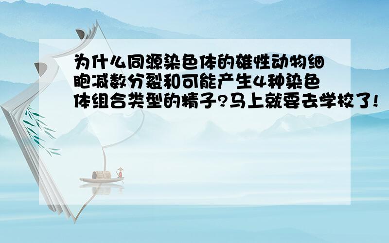 为什么同源染色体的雄性动物细胞减数分裂和可能产生4种染色体组合类型的精子?马上就要去学校了!