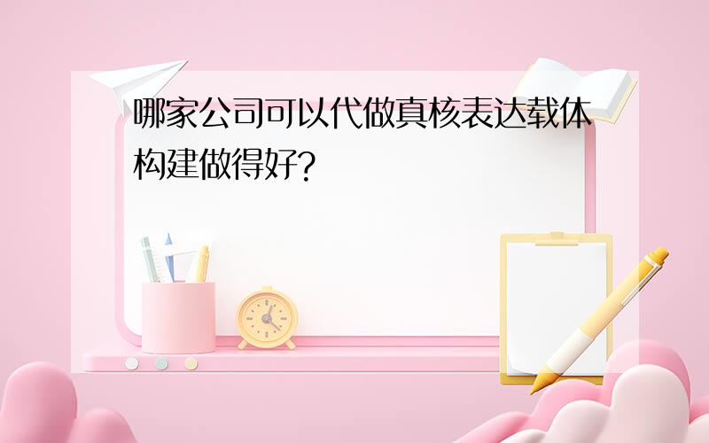 哪家公司可以代做真核表达载体构建做得好?