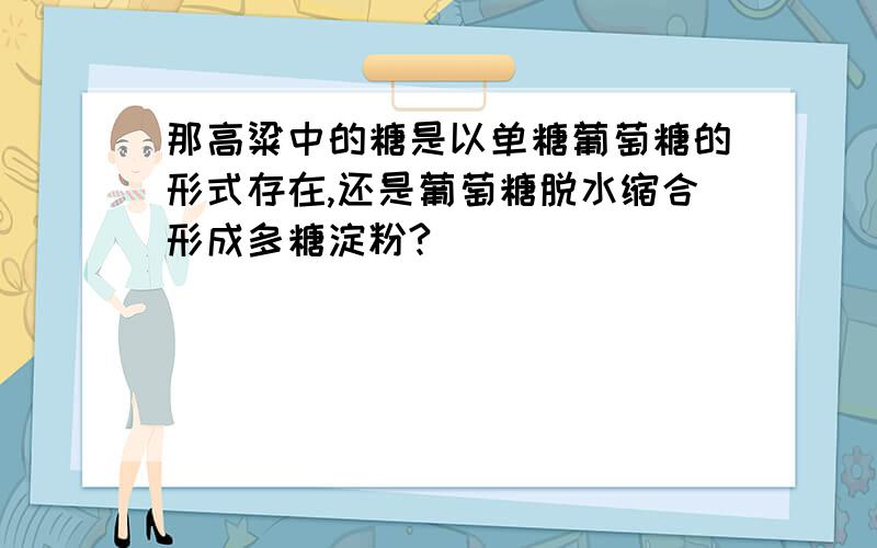 那高粱中的糖是以单糖葡萄糖的形式存在,还是葡萄糖脱水缩合形成多糖淀粉?