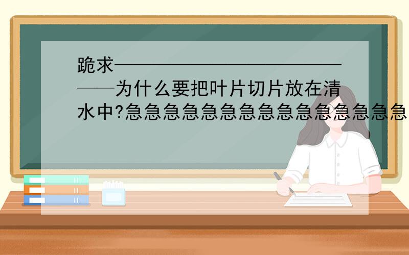 跪求——————————————为什么要把叶片切片放在清水中?急急急急急急急急急急急急急急急急急急急急急急急急!各位路过