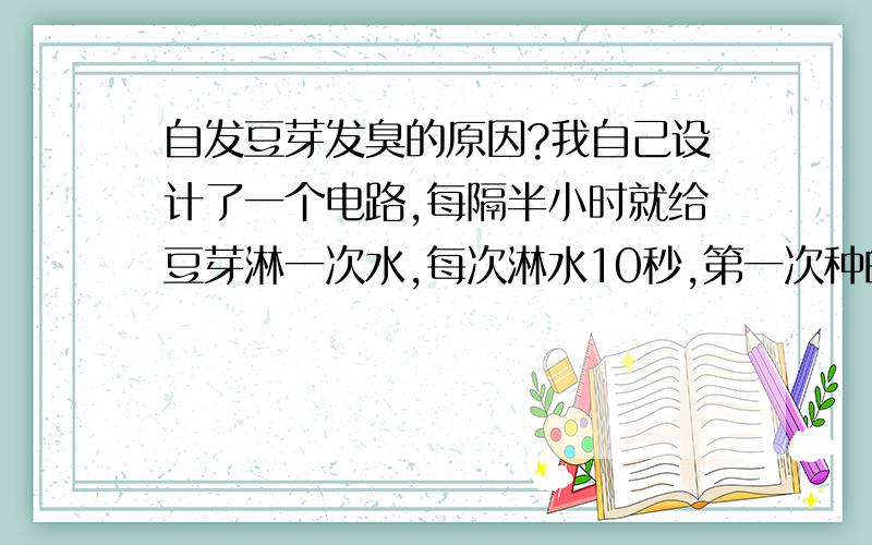 自发豆芽发臭的原因?我自己设计了一个电路,每隔半小时就给豆芽淋一次水,每次淋水10秒,第一次种的时候豆芽3天就成熟了,虽