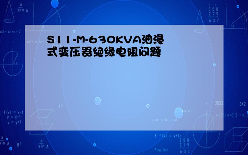 S11-M-630KVA油浸式变压器绝缘电阻问题