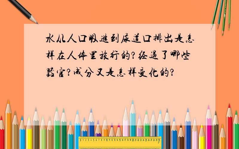 水从人口吸进到尿道口排出是怎样在人体里旅行的?经过了哪些器官?成分又是怎样变化的?