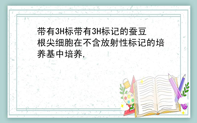 带有3H标带有3H标记的蚕豆根尖细胞在不含放射性标记的培养基中培养,