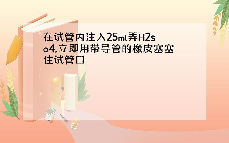 在试管内注入25ml弄H2so4,立即用带导管的橡皮塞塞住试管口