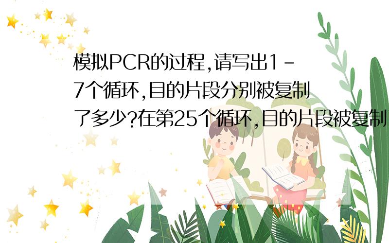 模拟PCR的过程,请写出1-7个循环,目的片段分别被复制了多少?在第25个循环,目的片段被复制了多少?