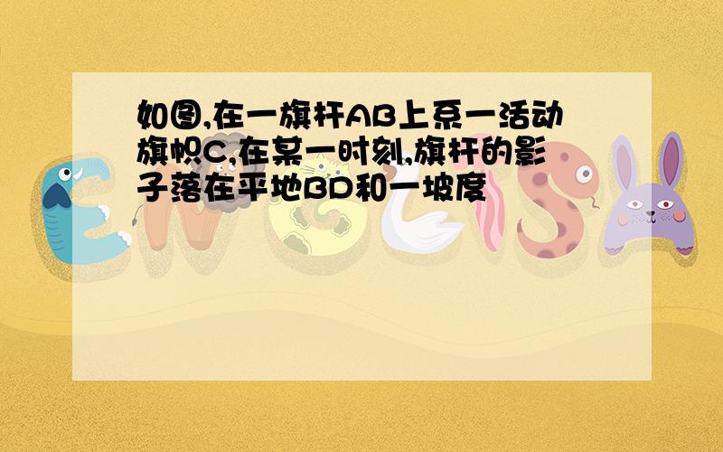 如图,在一旗杆AB上系一活动旗帜C,在某一时刻,旗杆的影子落在平地BD和一坡度