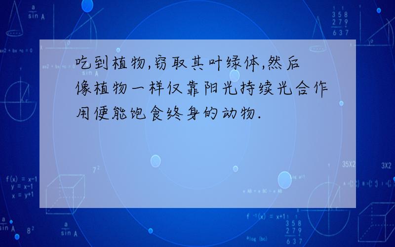 吃到植物,窃取其叶绿体,然后像植物一样仅靠阳光持续光合作用便能饱食终身的动物.