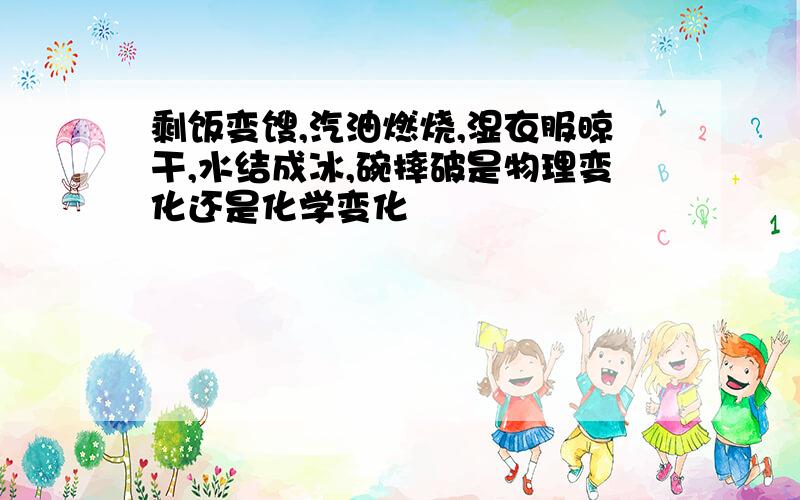 剩饭变馊,汽油燃烧,湿衣服晾干,水结成冰,碗摔破是物理变化还是化学变化