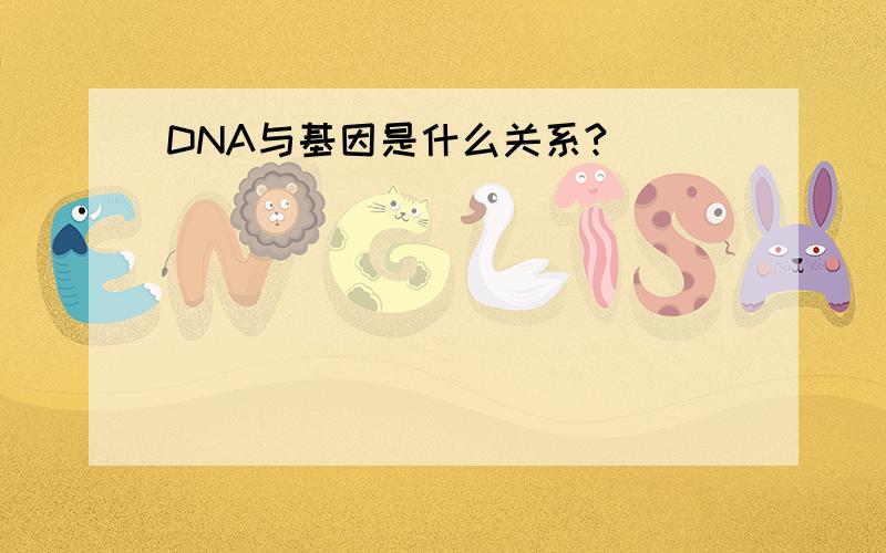 DNA与基因是什么关系?