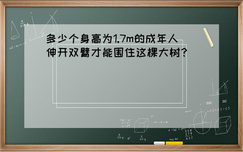 多少个身高为1.7m的成年人伸开双臂才能围住这棵大树？