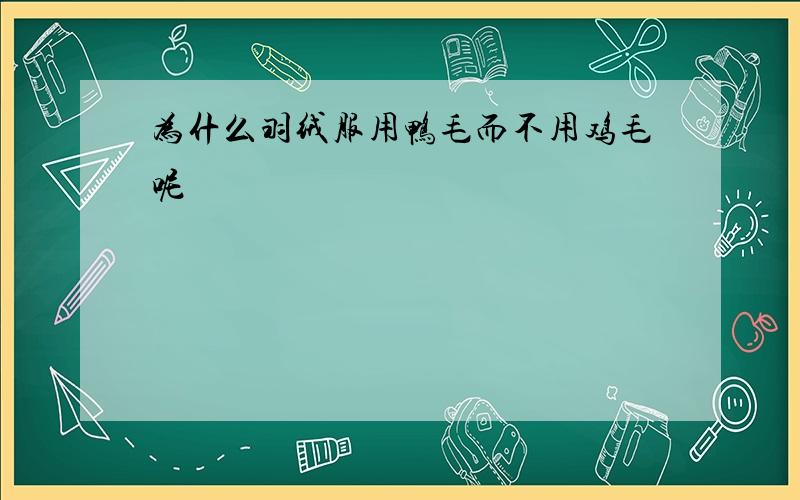 为什么羽绒服用鸭毛而不用鸡毛呢