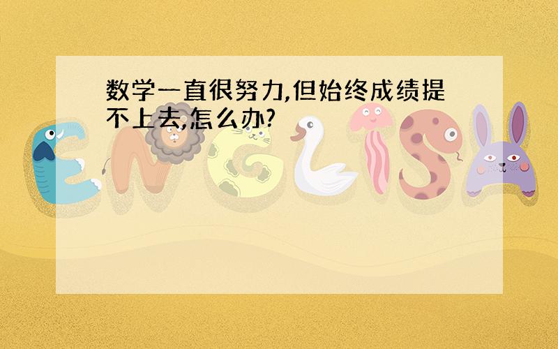 数学一直很努力,但始终成绩提不上去,怎么办?