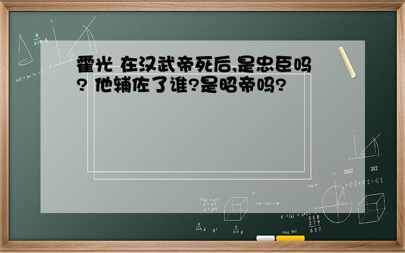 霍光 在汉武帝死后,是忠臣吗? 他辅佐了谁?是昭帝吗?