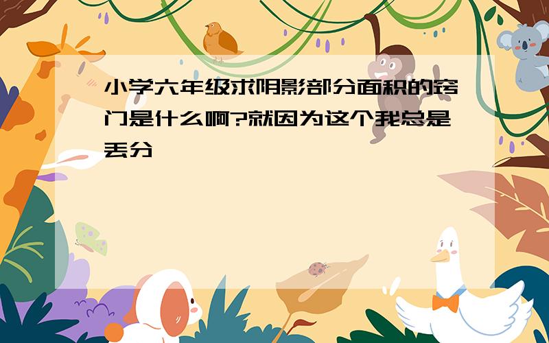 小学六年级求阴影部分面积的窍门是什么啊?就因为这个我总是丢分,