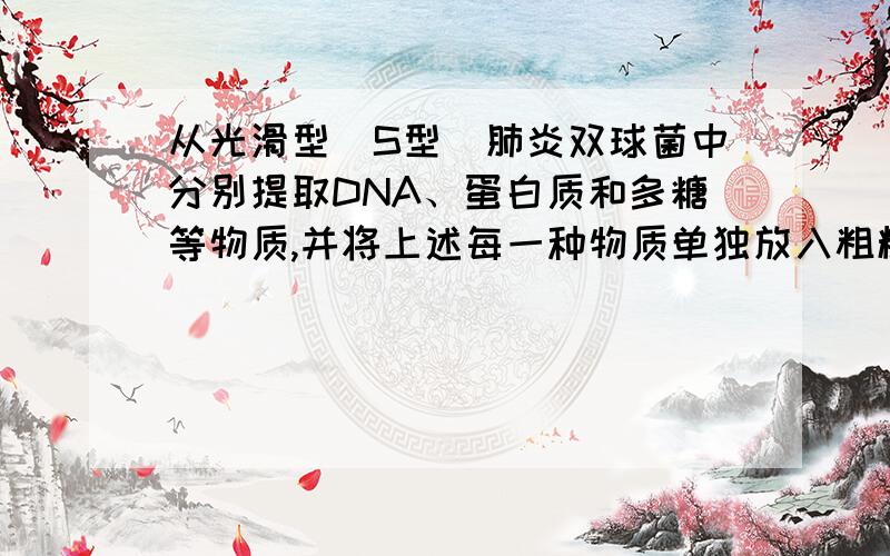 从光滑型(S型)肺炎双球菌中分别提取DNA、蛋白质和多糖等物质,并将上述每一种物质单独放入粗糙型(R型)肺炎