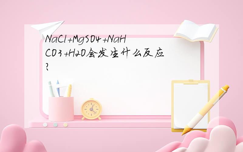 NaCl+MgSO4+NaHCO3+H2O会发生什么反应?