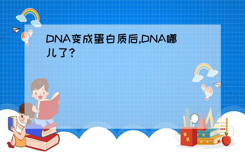 DNA变成蛋白质后,DNA哪儿了?