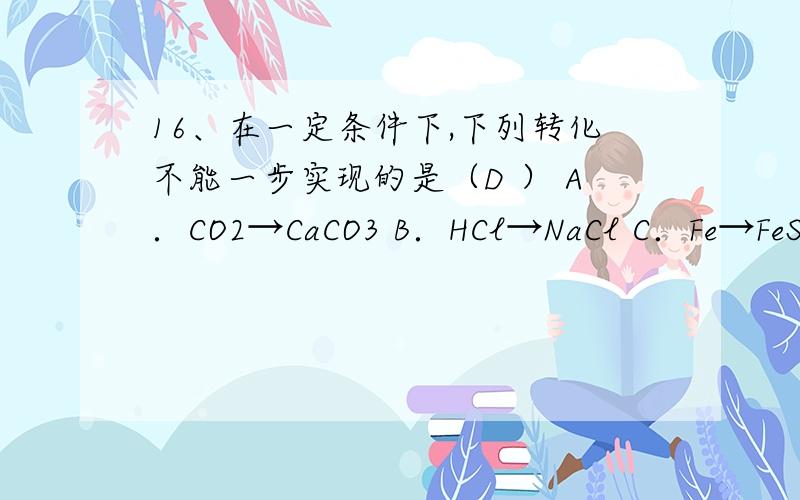 16、在一定条件下,下列转化不能一步实现的是（D ） A．CO2→CaCO3 B．HCl→NaCl C．Fe→FeSO4