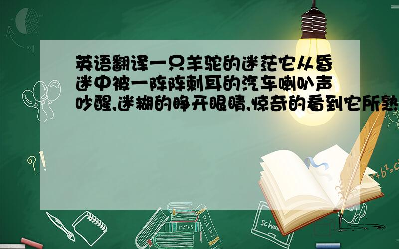 英语翻译一只羊驼的迷茫它从昏迷中被一阵阵刺耳的汽车喇叭声吵醒,迷糊的睁开眼睛,惊奇的看到它所熟悉的草原已经不见了.它自己