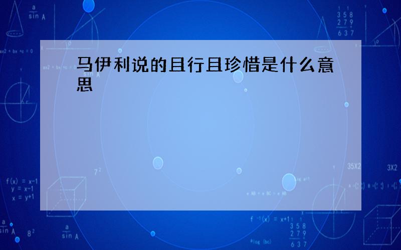 马伊利说的且行且珍惜是什么意思