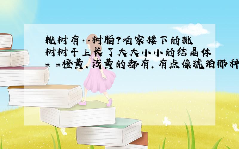 桃树有··树脂?咱家楼下的桃树树干上长了大大小小的结晶体= =橙黄,浅黄的都有,有点像琥珀那种 咱妈说是桃树分泌的油.所