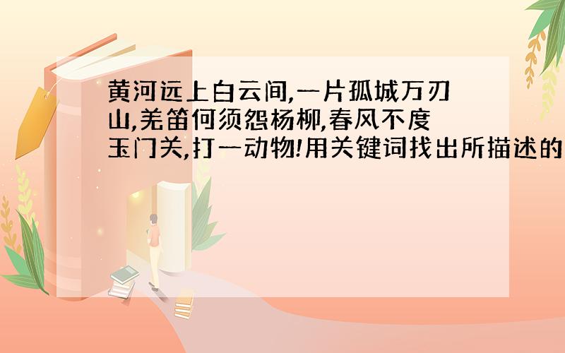 黄河远上白云间,一片孤城万刃山,羌笛何须怨杨柳,春风不度玉门关,打一动物!用关键词找出所描述的动物