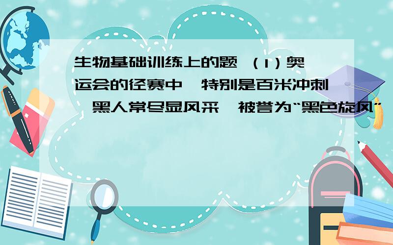 生物基础训练上的题 （1）奥运会的径赛中,特别是百米冲刺,黑人常尽显风采,被誉为“黑色旋风”……