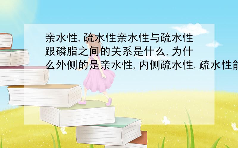 亲水性,疏水性亲水性与疏水性跟磷脂之间的关系是什么,为什么外侧的是亲水性,内侧疏水性.疏水性能不能让水通过,亲水性是不是