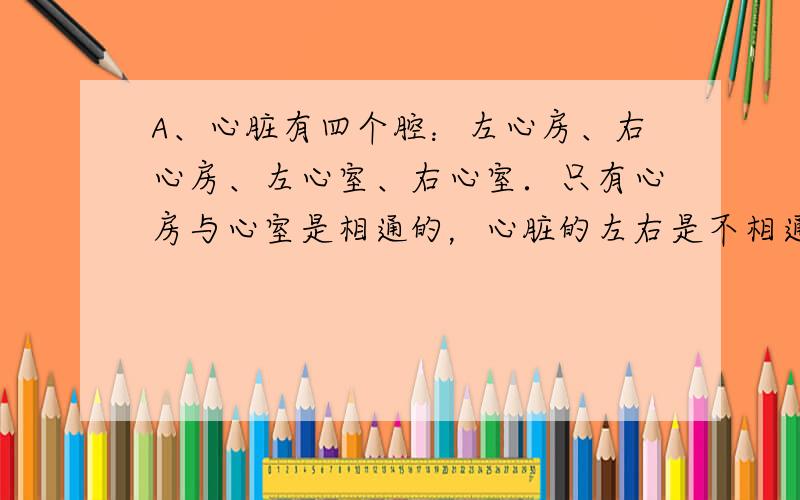 A、心脏有四个腔：左心房、右心房、左心室、右心室．只有心房与心室是相通的，心脏的左右是不相通的；因此在人的心脏里动脉血与