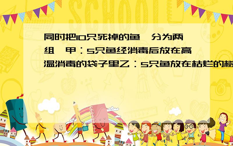 同时把10只死掉的鱼,分为两组,甲：5只鱼经消毒后放在高温消毒的袋子里乙：5只鱼放在枯烂的树下面.